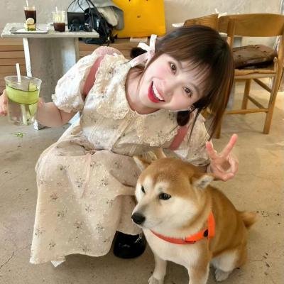 完美计划