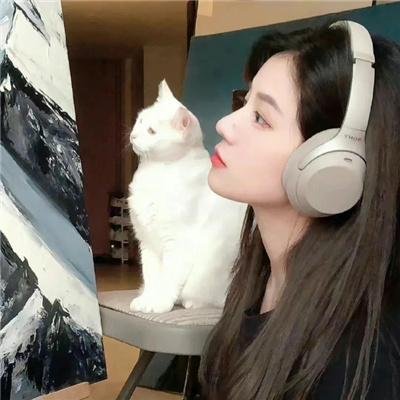 飞向月球